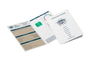 WGI9624139646-Mockup-Transparent-300x200-removebg-preview